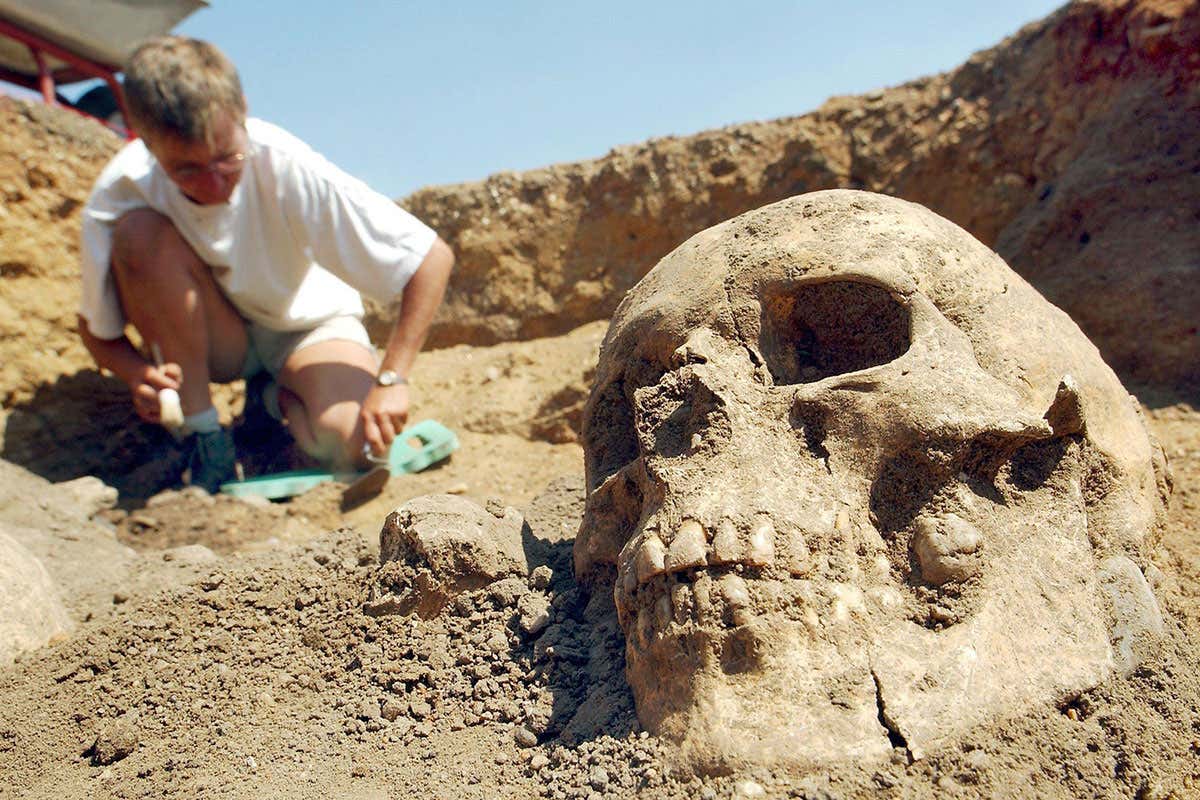 New Scientist. Science news and long reads from expert journalists, covering developments in science, technology, health and the environment on the website and the magazine.