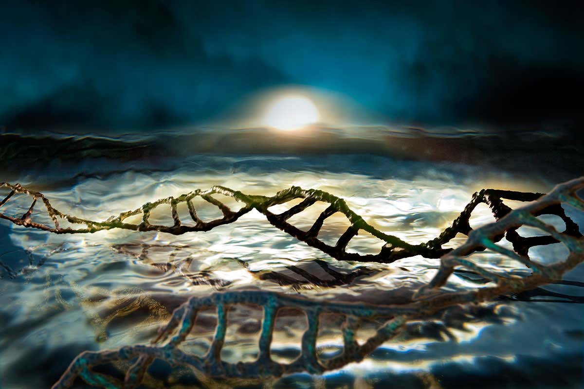 DNA emerging on early earth