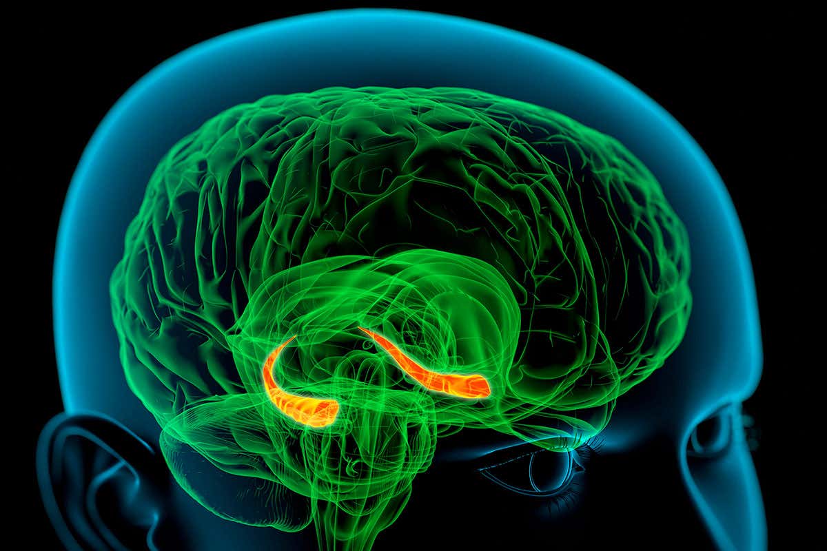 New Scientist. Science news and long reads from expert journalists, covering developments in science, technology, health and the environment on the website and the magazine.