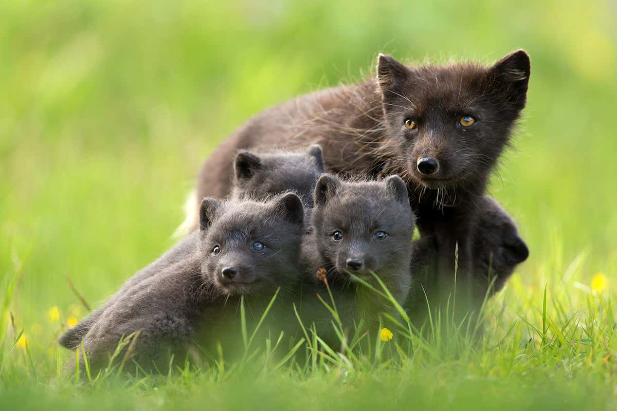 New Scientist. Science news and long reads from expert journalists, covering developments in science, technology, health and the environment on the website and the magazine.