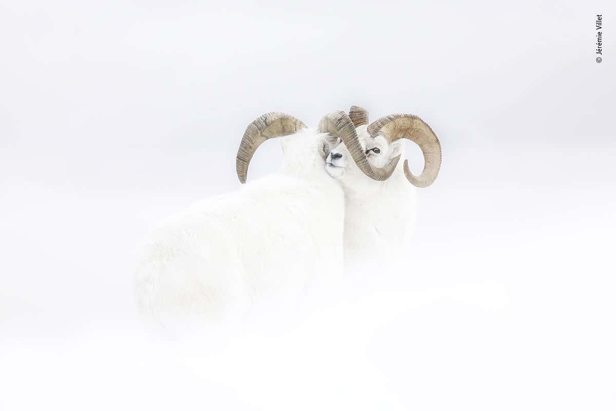 New Scientist. Science news and long reads from expert journalists, covering developments in science, technology, health and the environment on the website and the magazine.