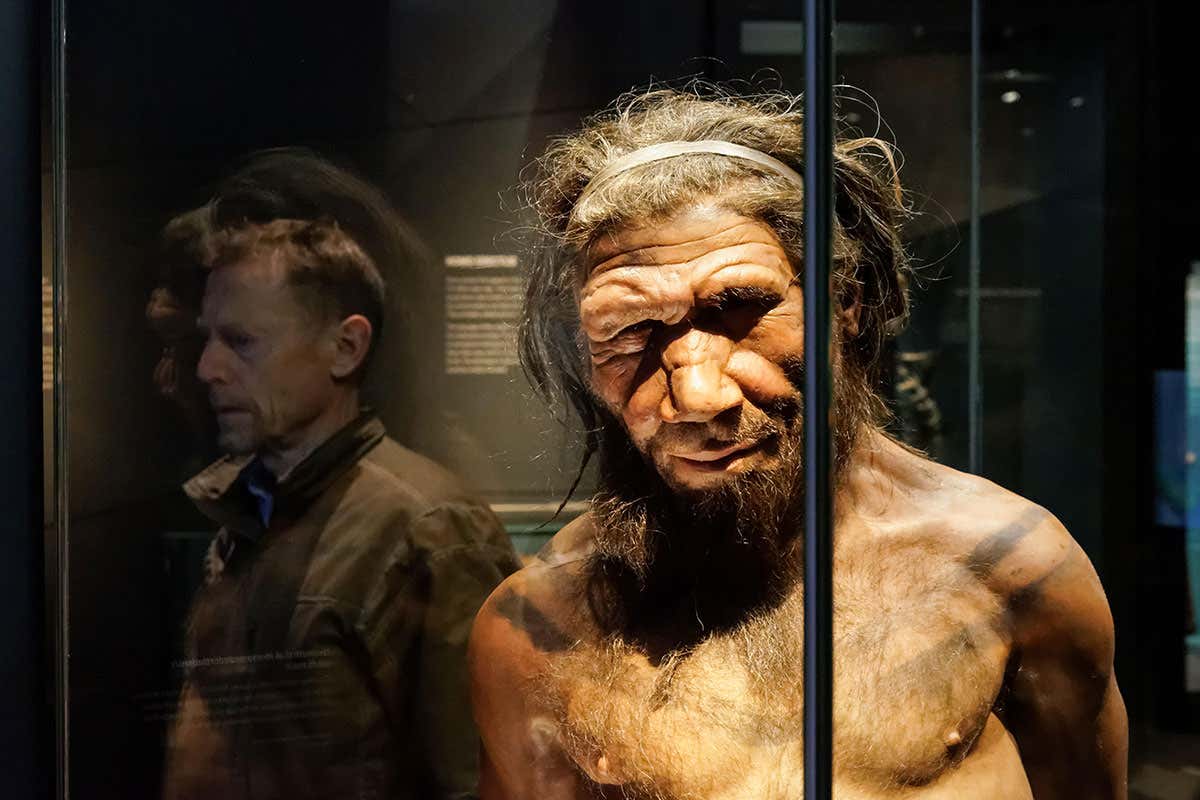 Impression of a Neanderthal