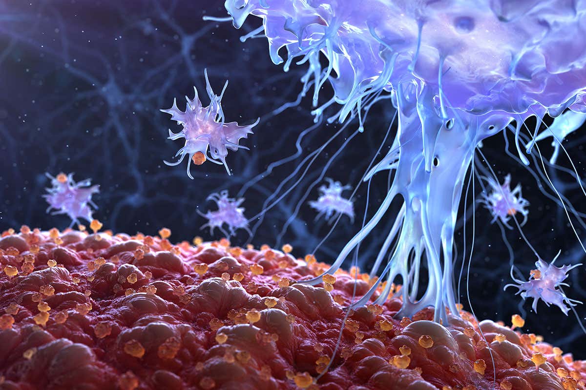 Beating cancer: How viruses are being used to infect and kill tumours