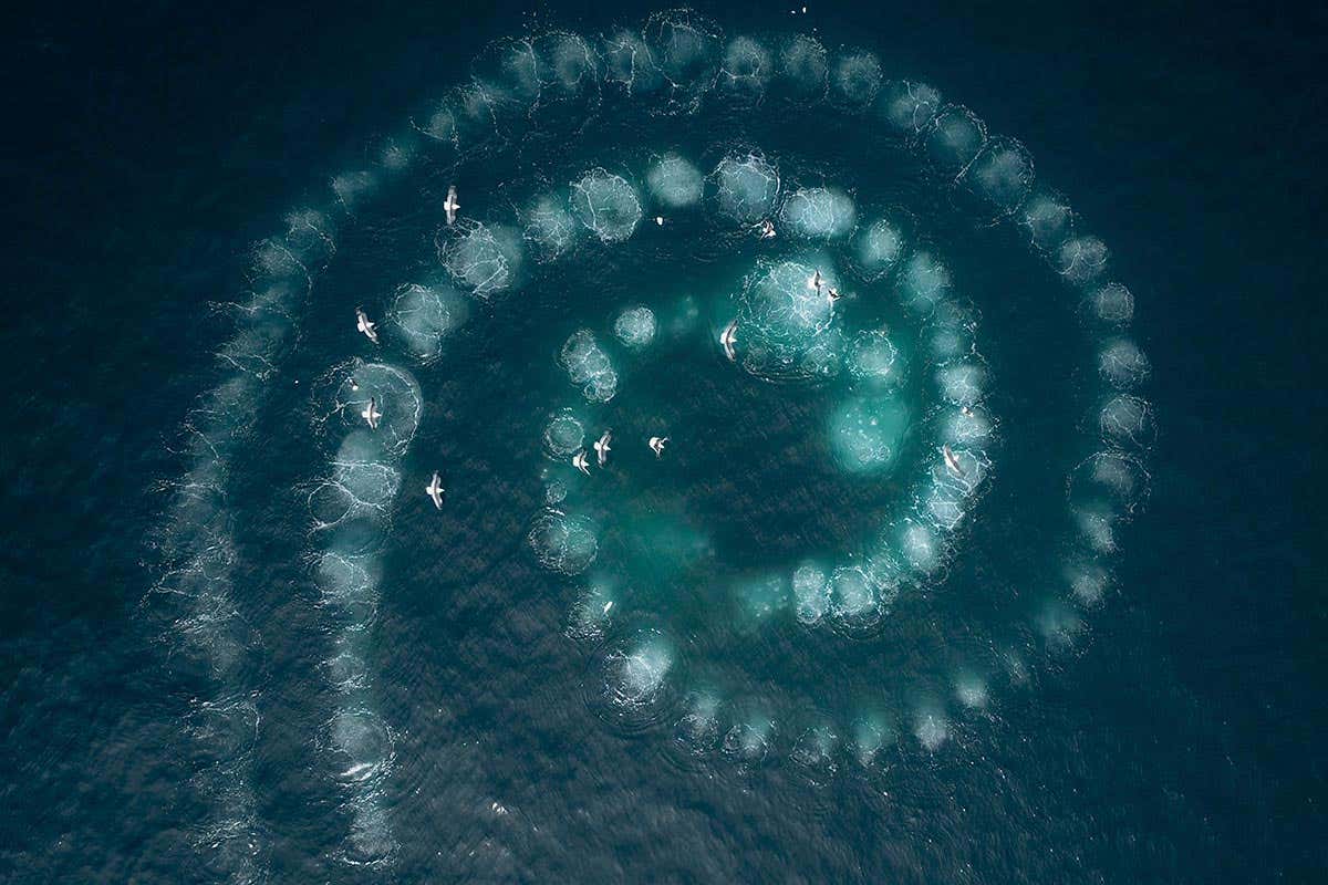 New Scientist. Science news and long reads from expert journalists, covering developments in science, technology, health and the environment on the website and the magazine.