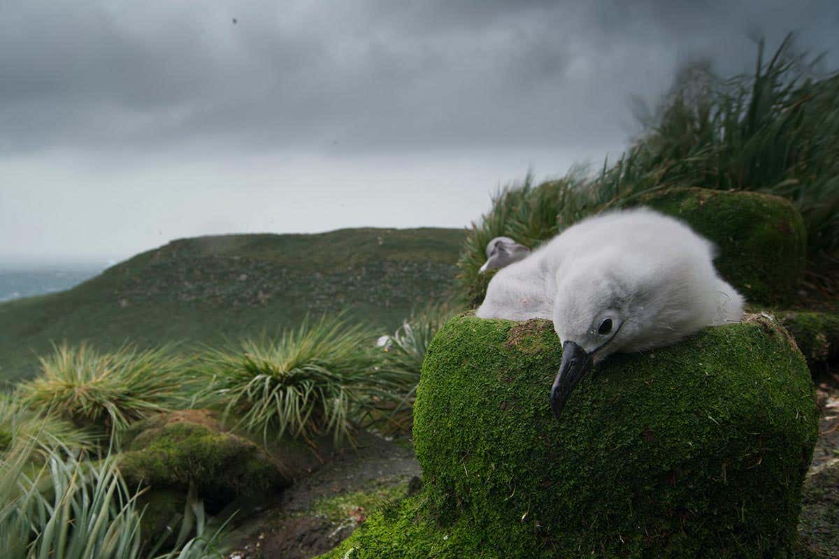 New Scientist. Science news and long reads from expert journalists, covering developments in science, technology, health and the environment on the website and the magazine.
