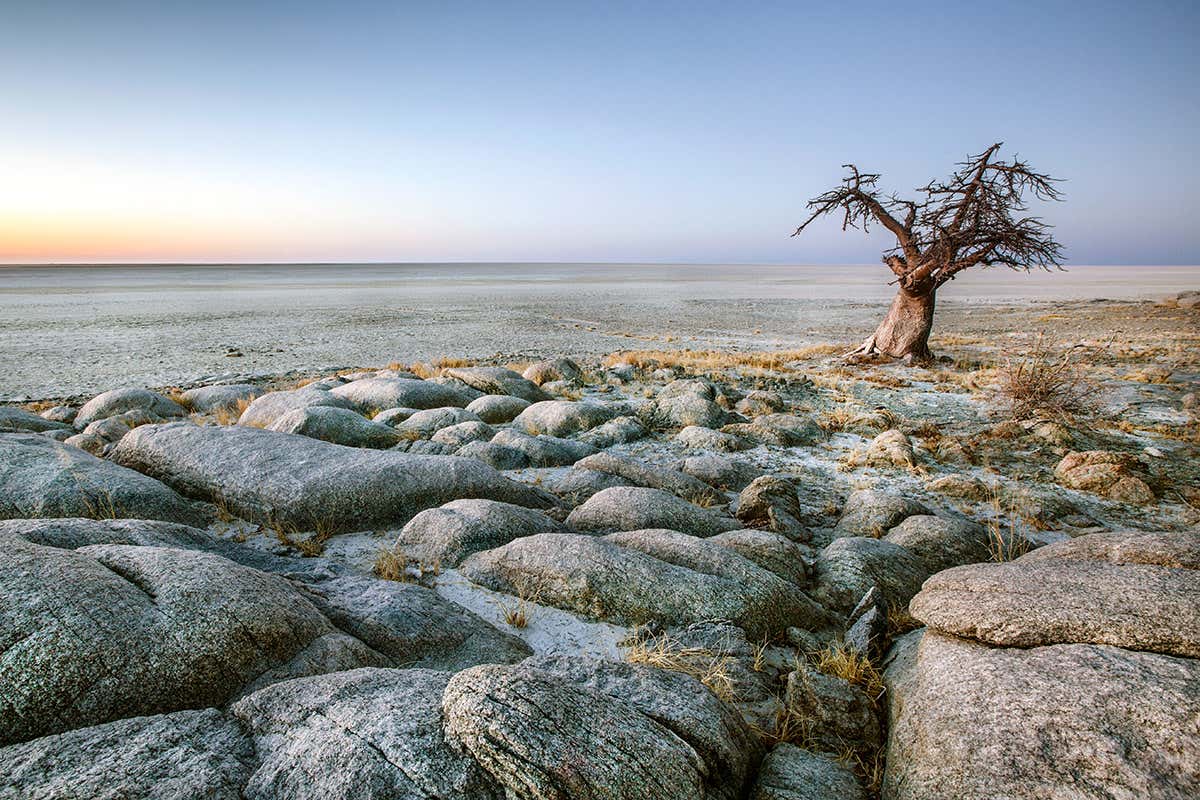 Makgadikgadi salt pan