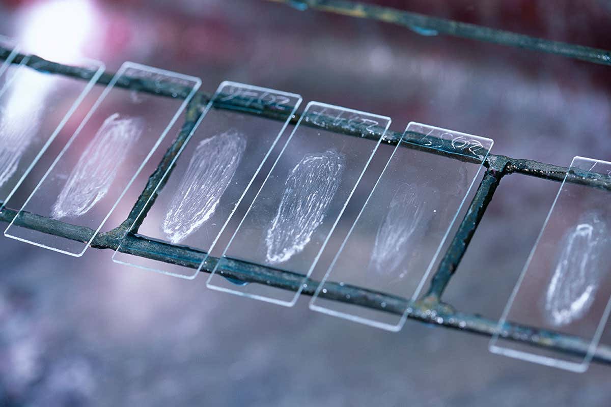 Fluid samples on glass