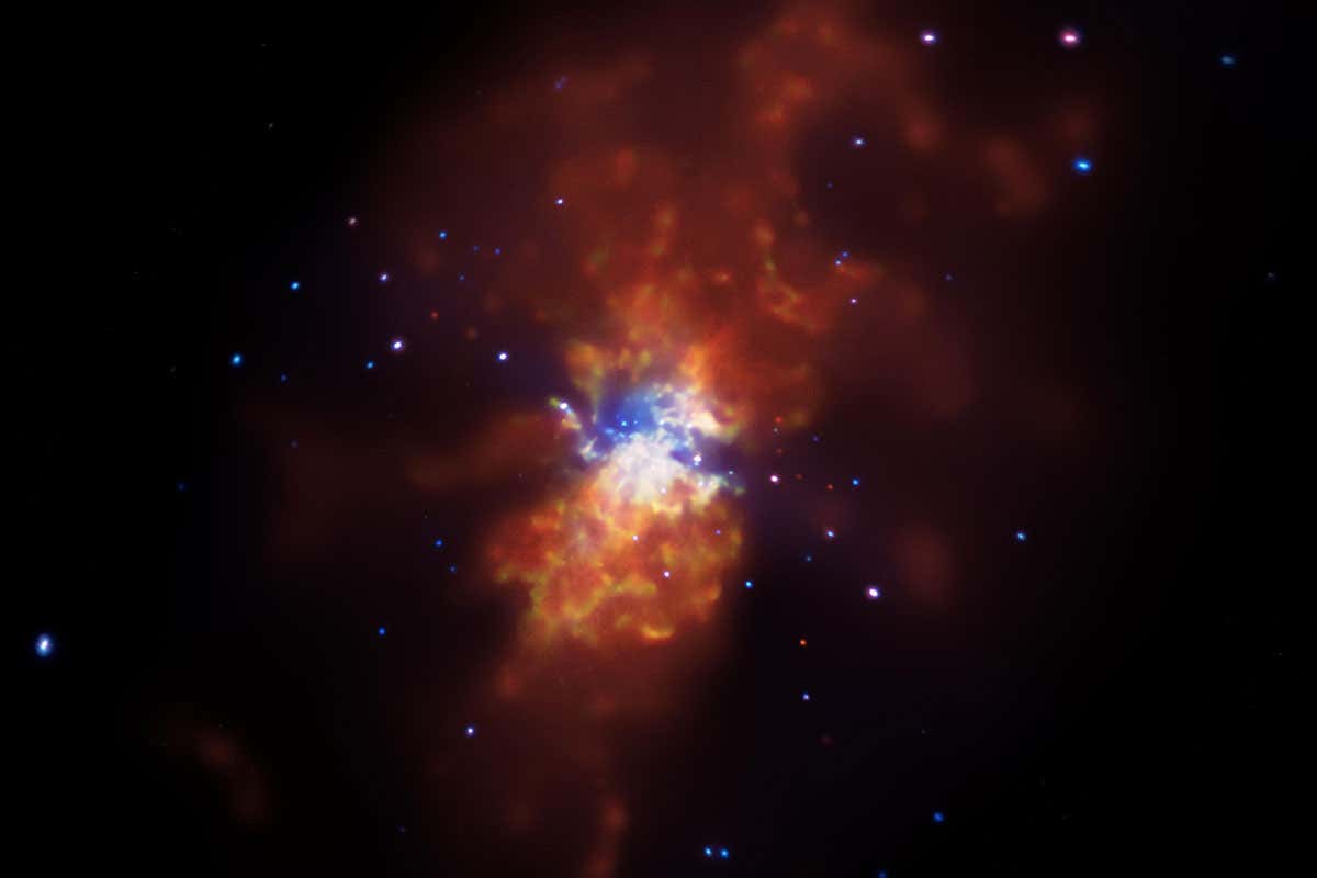 Type Ia supernovae