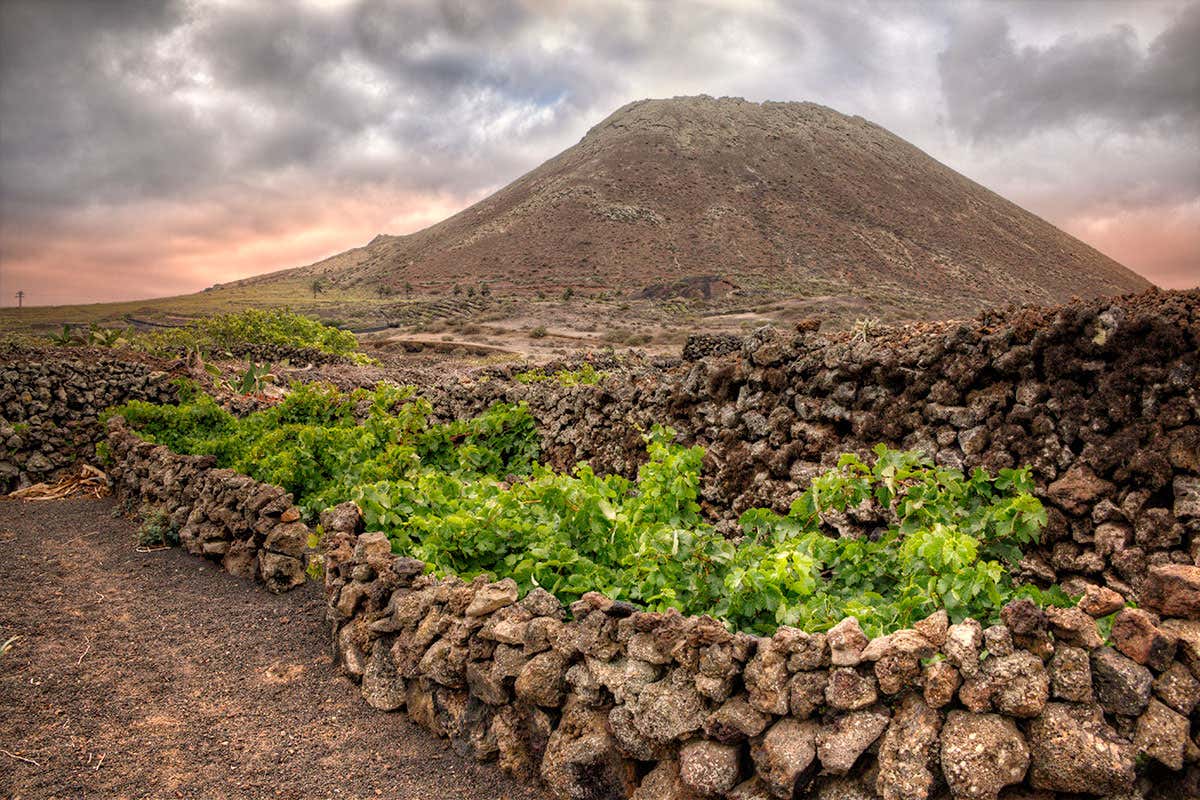 Volcanoes and Wine: Why a match made in hell tastes like heaven
