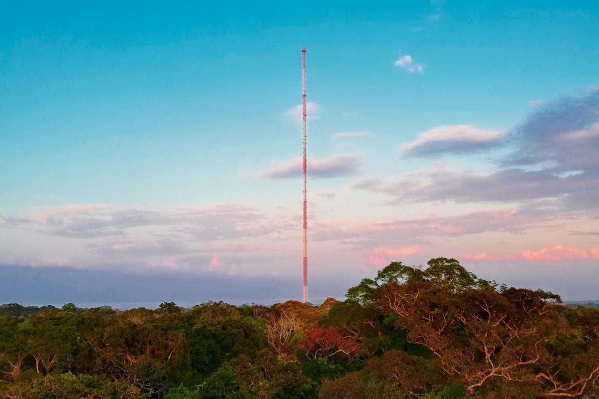 Amazon Tall Tower Observatory
