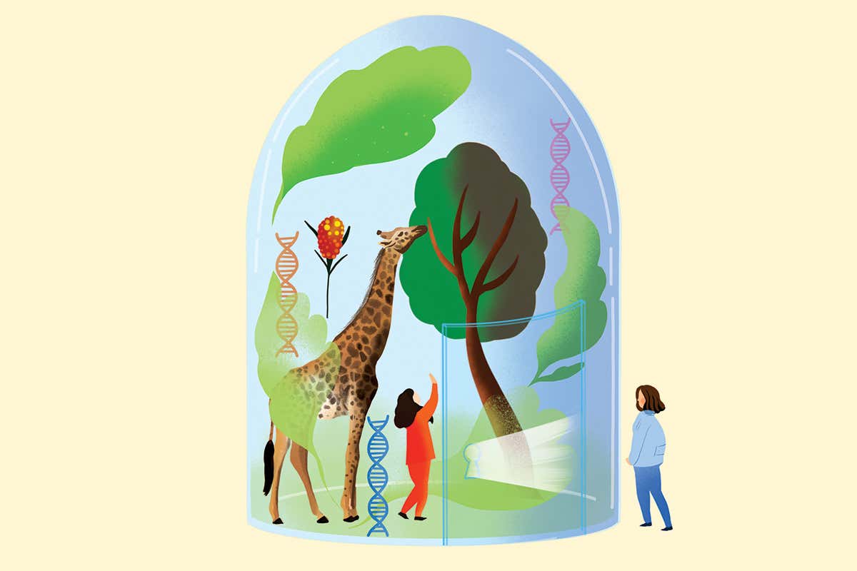 animals and plant life cartoon