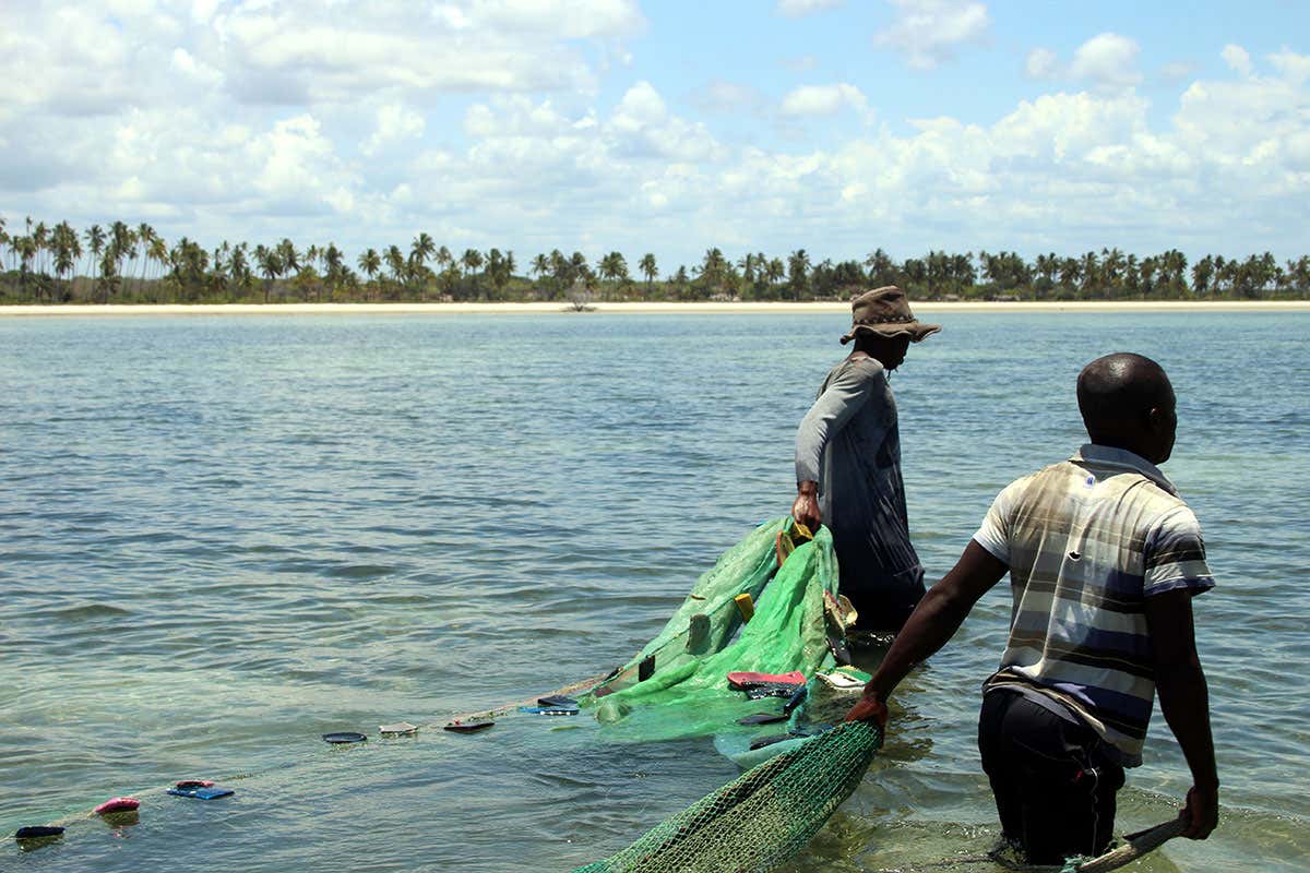 A large net made from mosquito nets