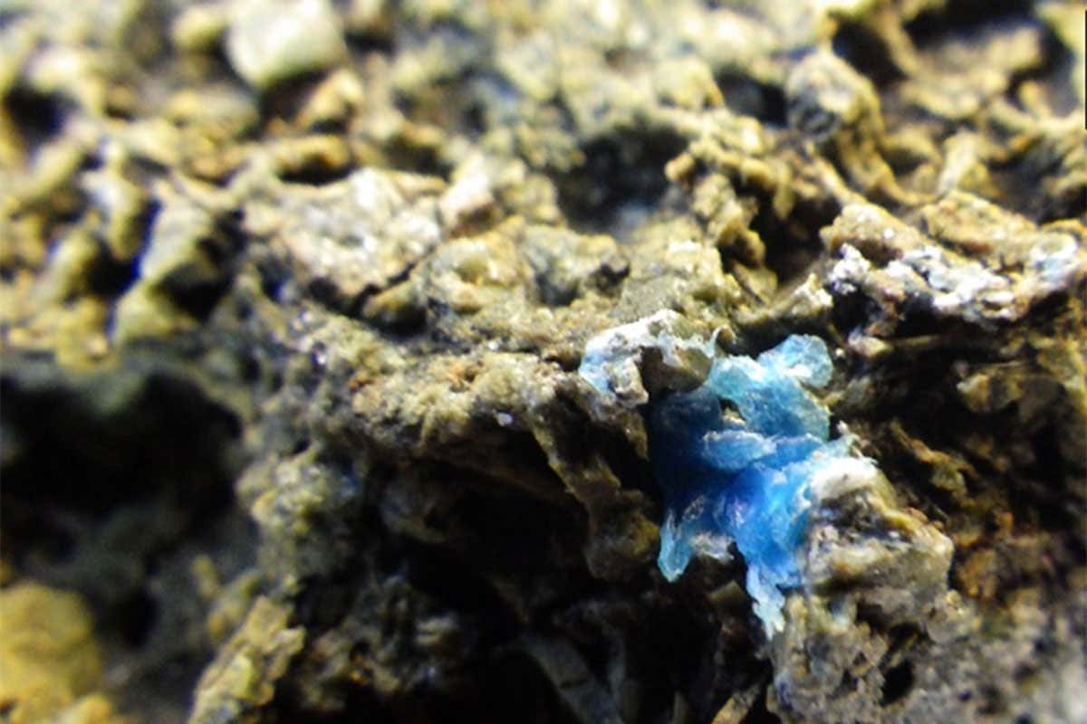 Blue crusts made from plastic found in Giglio