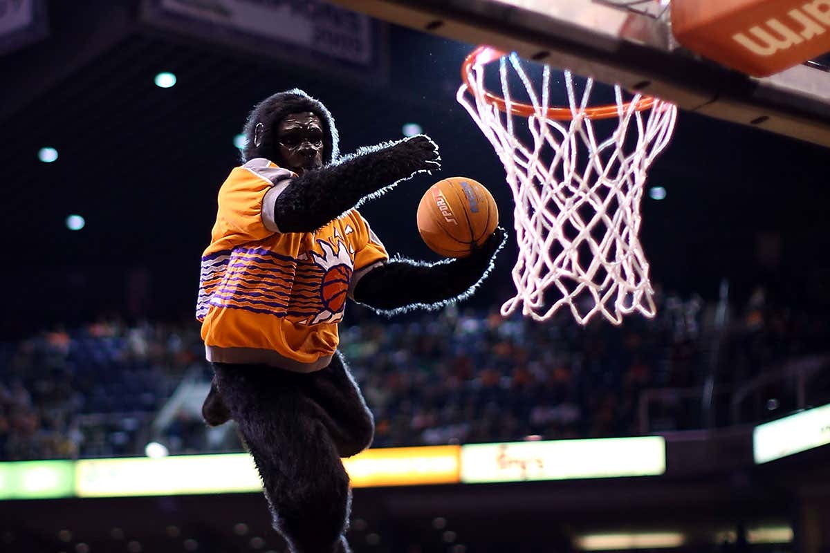 basketballer in gorilla suit