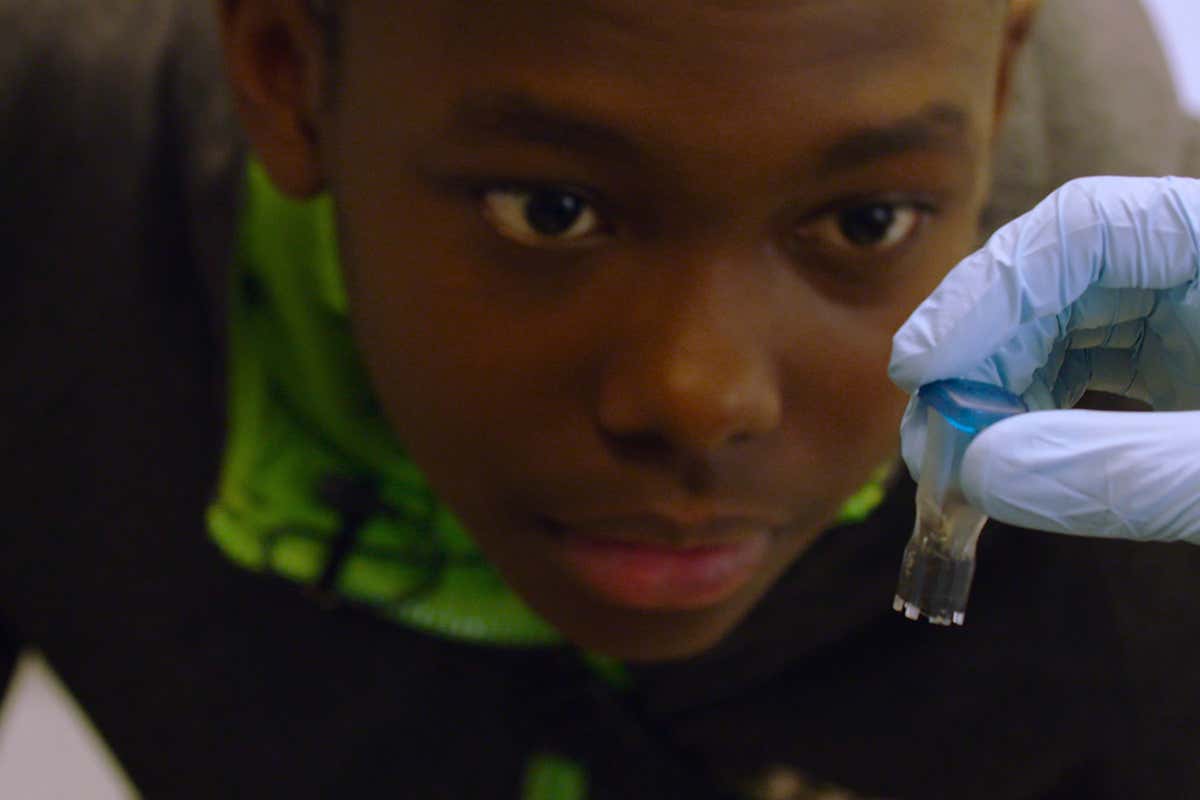 New Scientist. Science news and long reads from expert journalists, covering developments in science, technology, health and the environment on the website and the magazine.