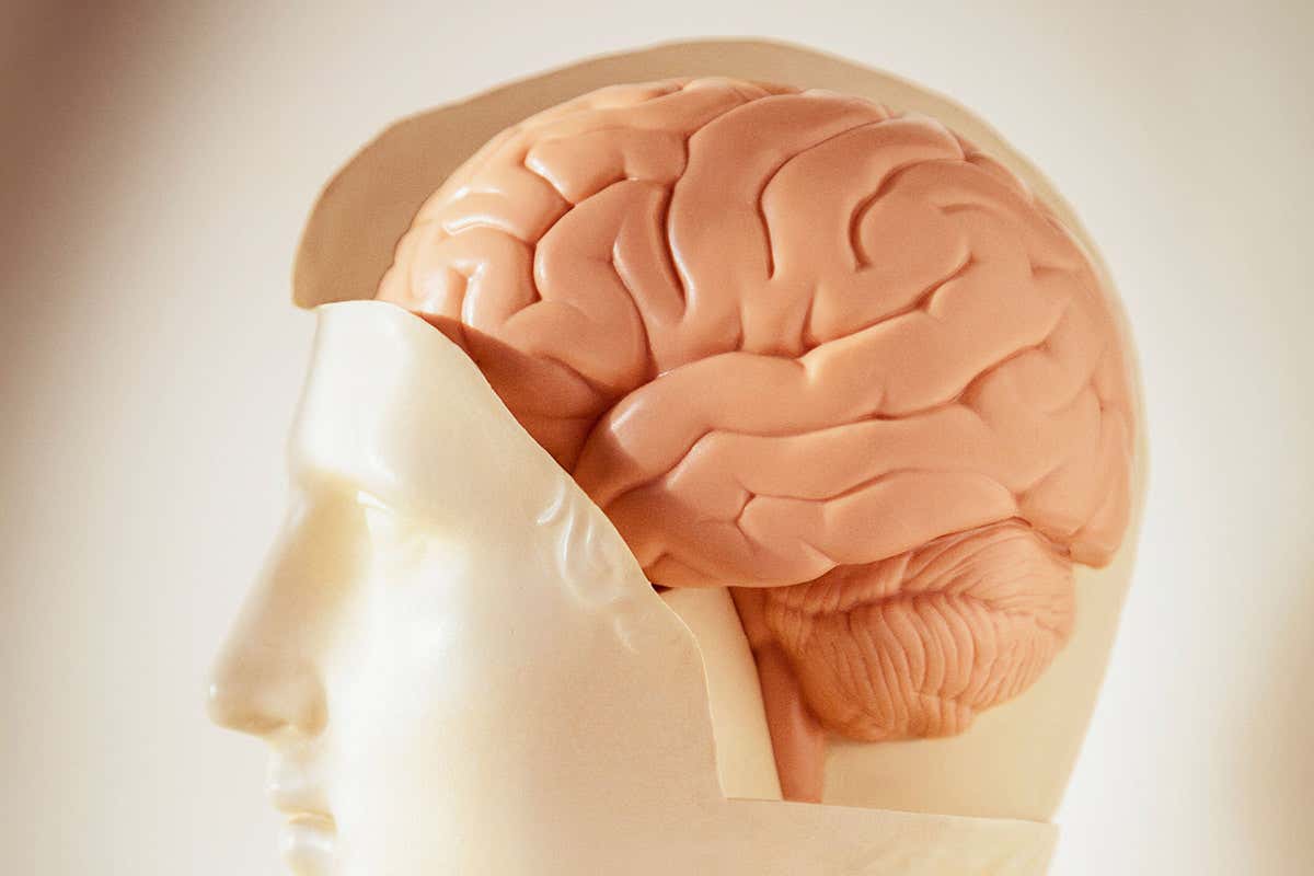 Two brain networks behave differently in people who are suicidal