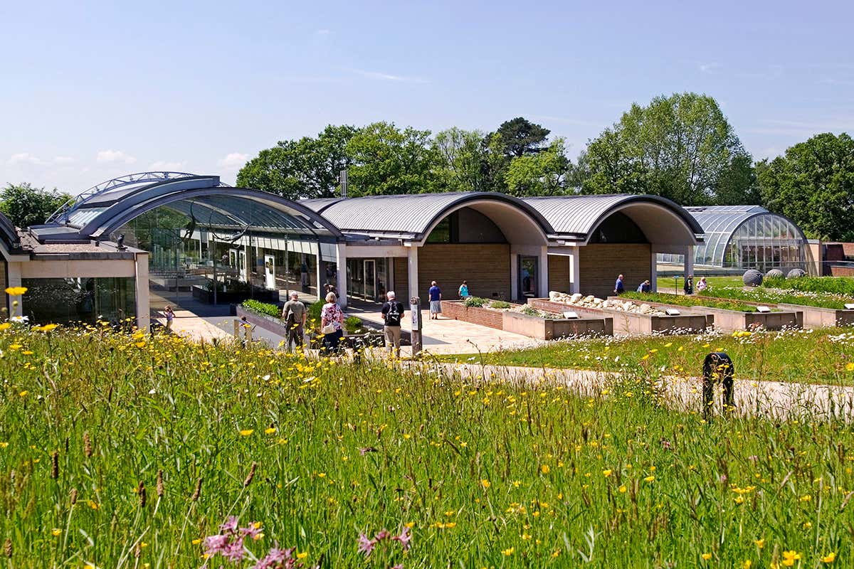 The Millennium Seed Bank