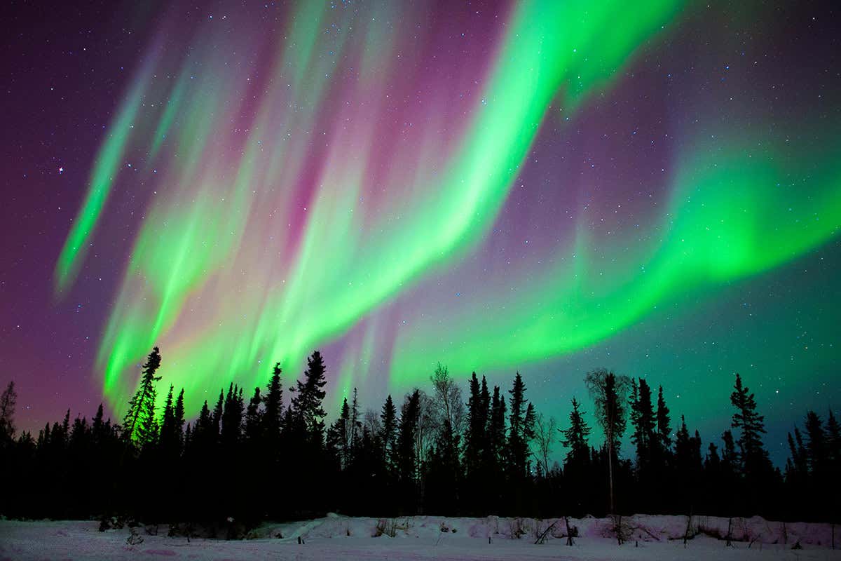 Northern lights