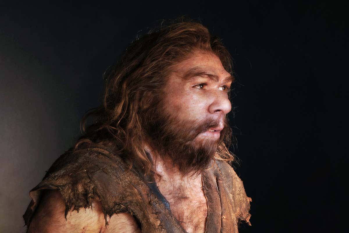 Neanderthal