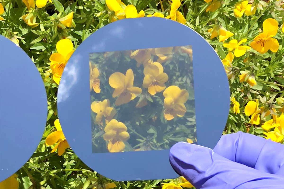 transparent solar cell