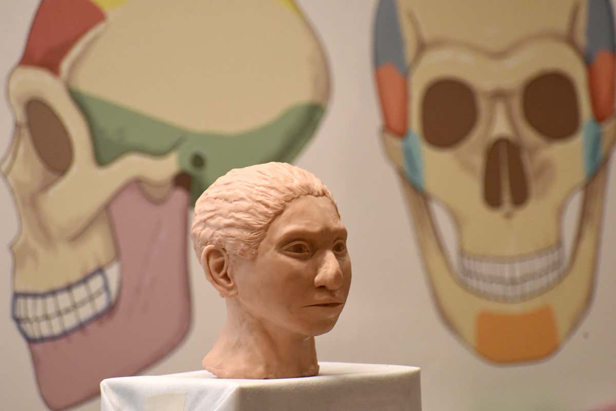 A close-up of the 3D printed reconstruction of a female Denisovan,
