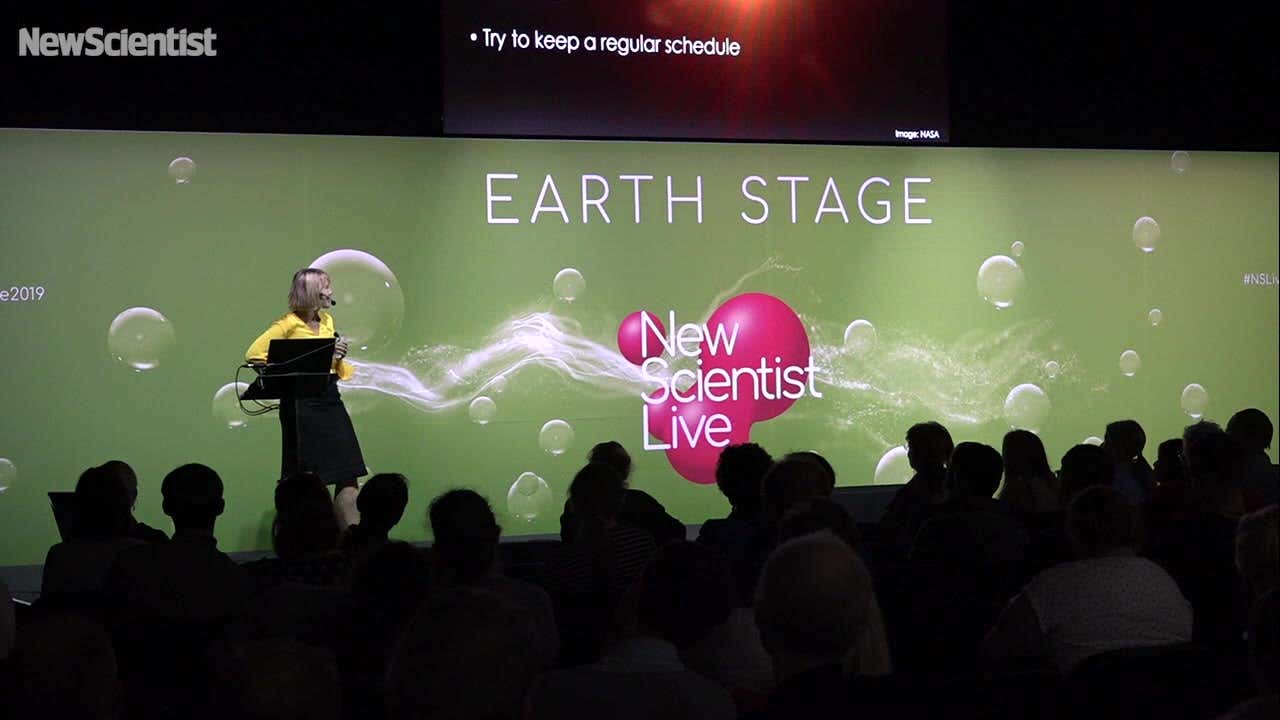 Chasing the sun: How light and dark shape our bodies and minds