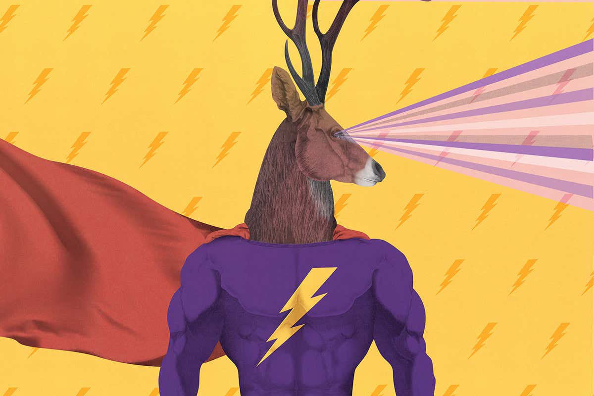 Rudolph superpowers