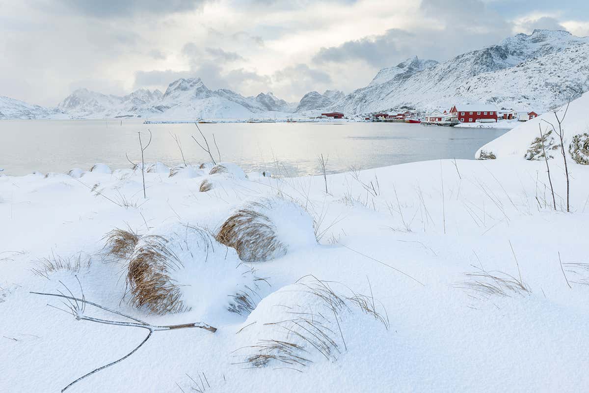 Village Fredvang on the island Moskenesoya