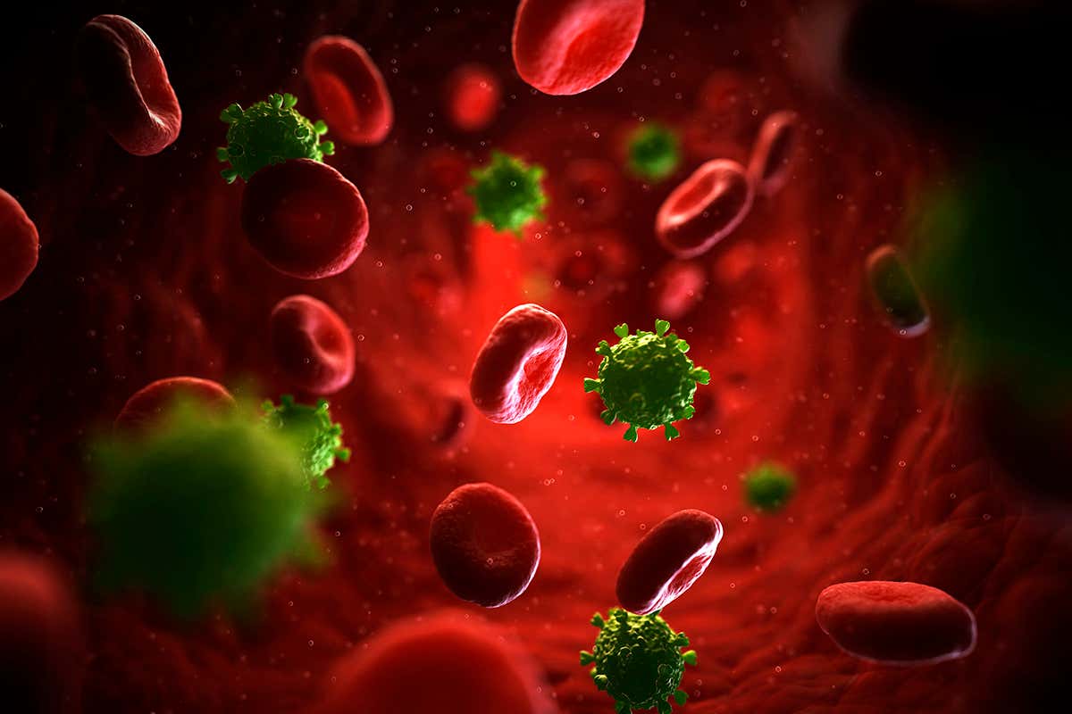 Computer artwork of HIV particles in the bloodstream