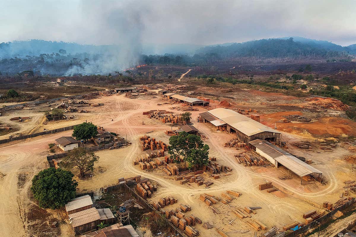 Aerial view of a sawmill in Moraes Almeida
