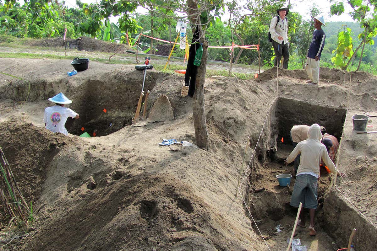 Ngandong Excavations