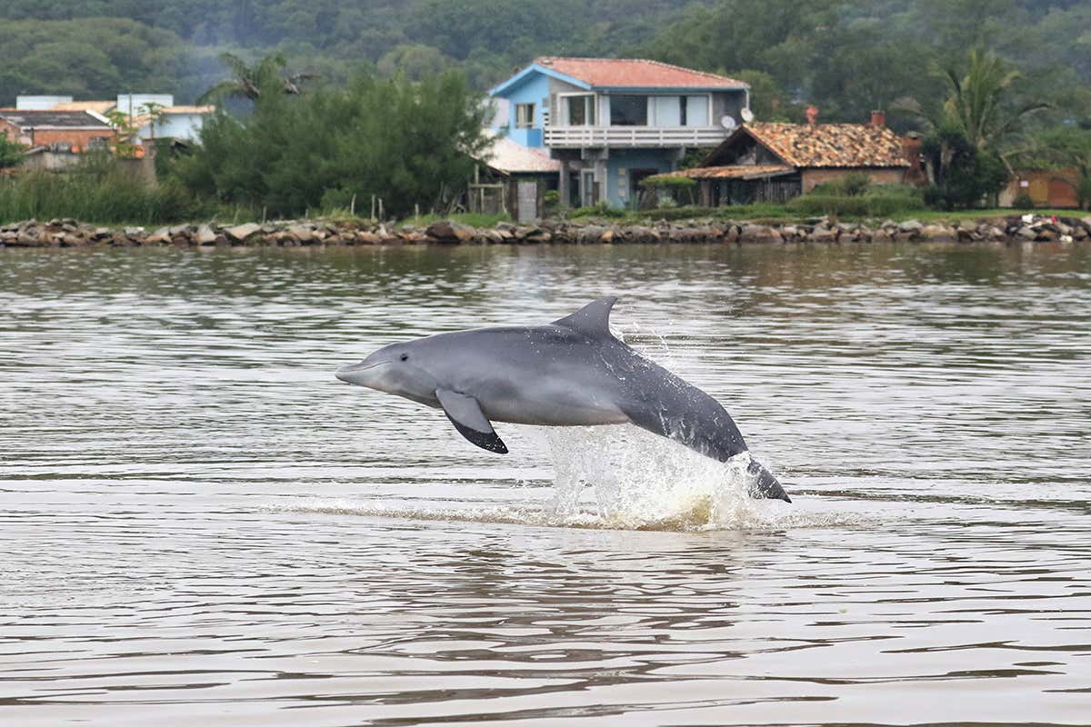 New Scientist. Science news and long reads from expert journalists, covering developments in science, technology, health and the environment on the website and the magazine.