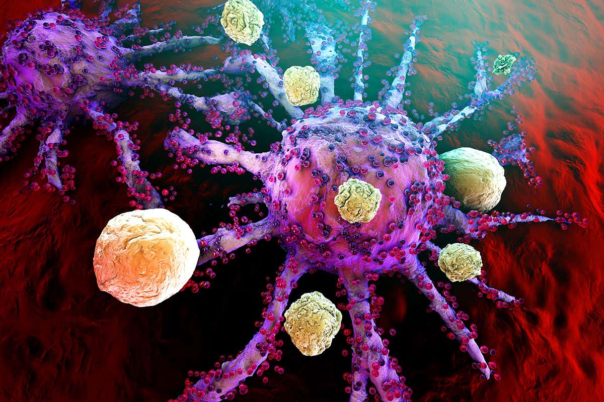 Immune system T cells attacking growing cancer cells