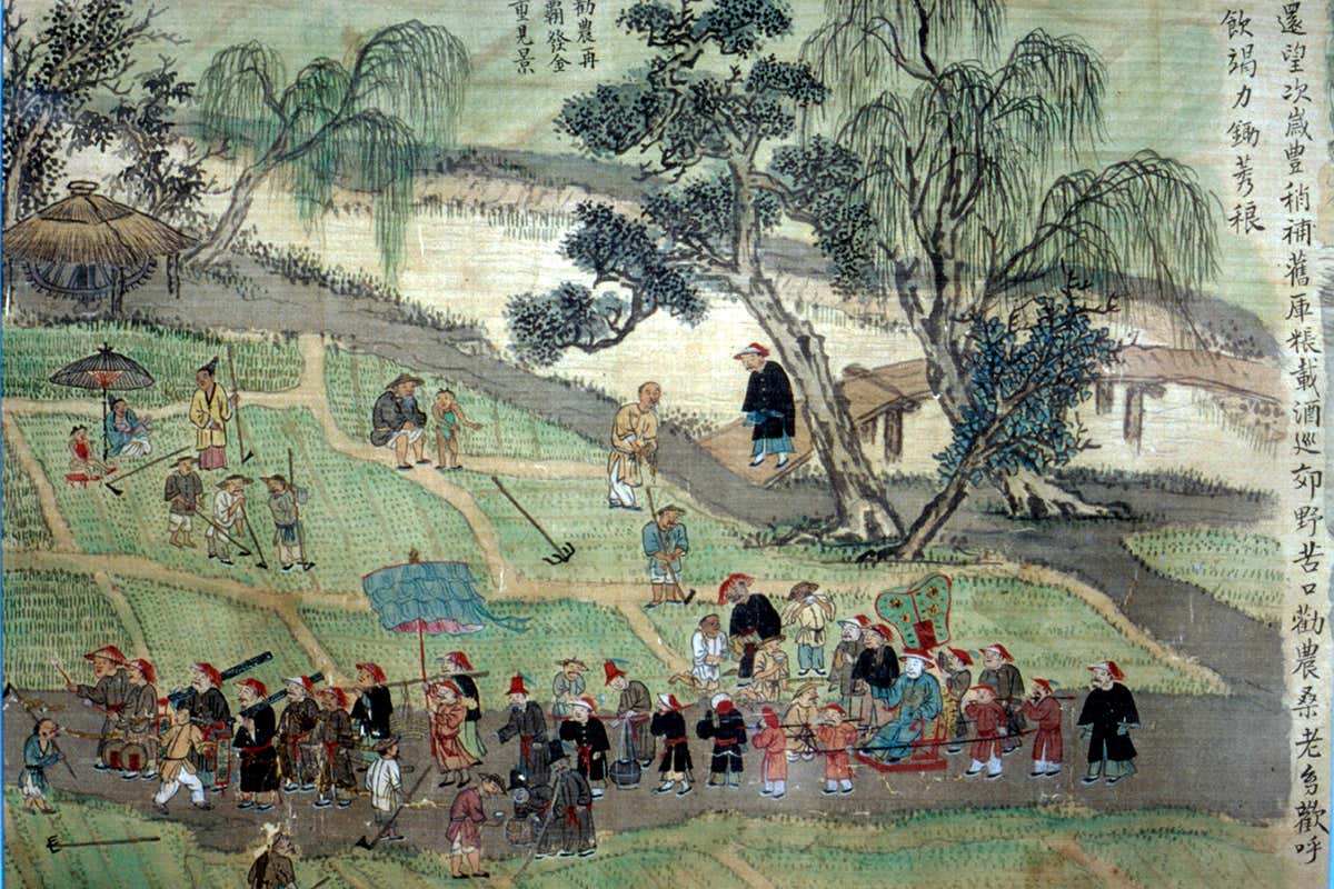 picture of mulberry tree, China