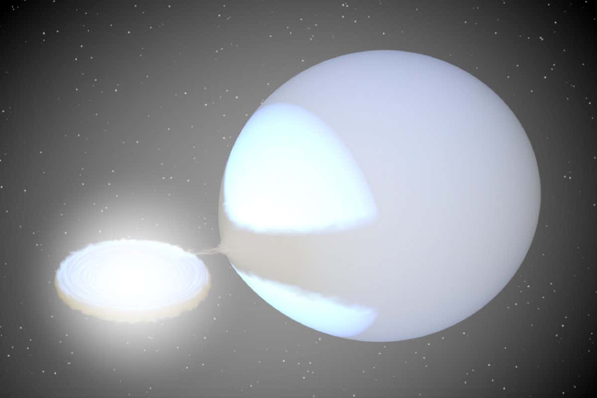 New Scientist. Science news and long reads from expert journalists, covering developments in science, technology, health and the environment on the website and the magazine.