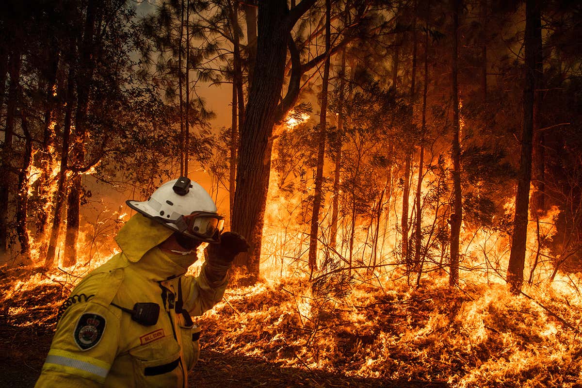 Australian fires
