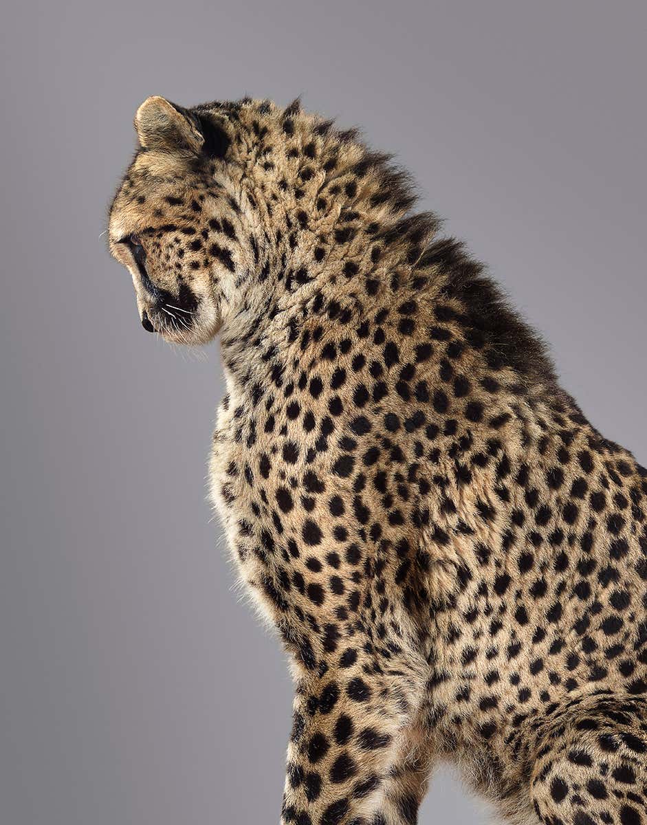 New Scientist. Science news and long reads from expert journalists, covering developments in science, technology, health and the environment on the website and the magazine.