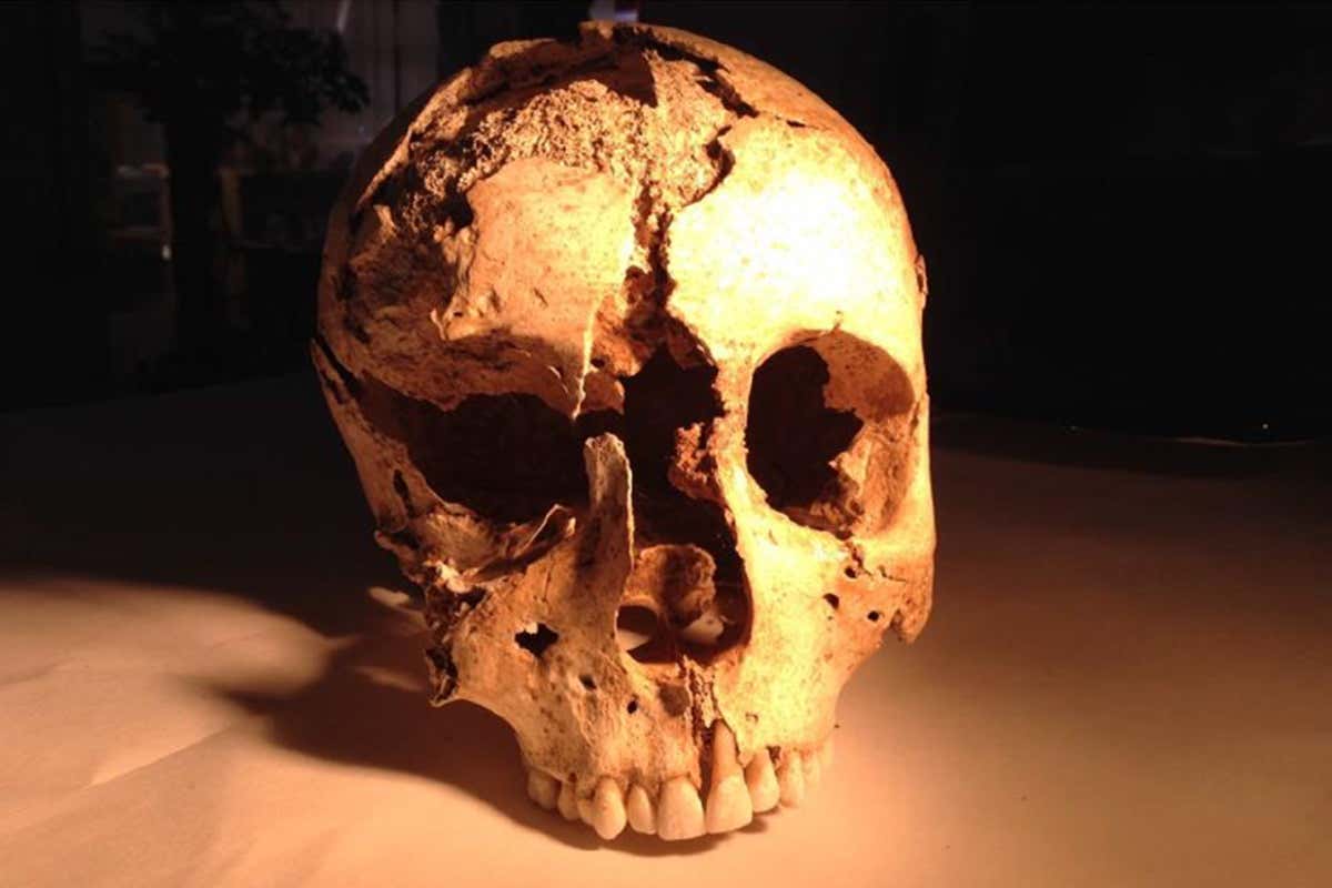 New Scientist. Science news and long reads from expert journalists, covering developments in science, technology, health and the environment on the website and the magazine.