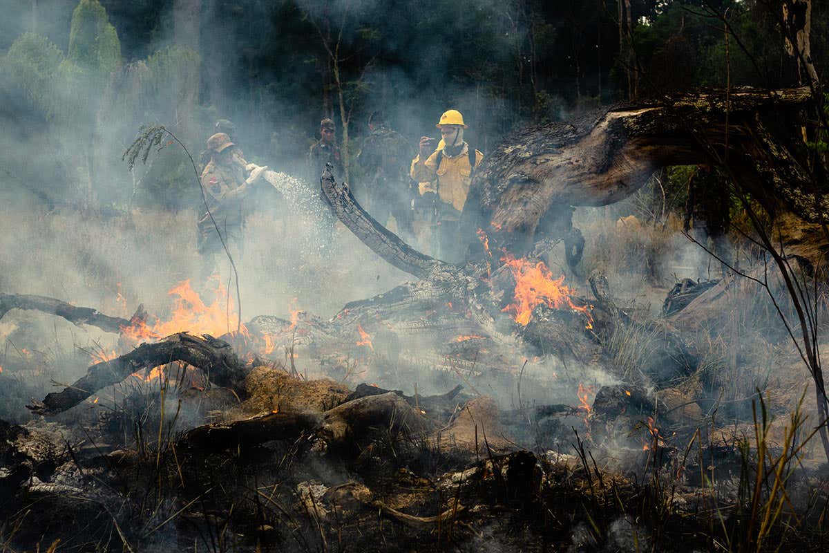 Members of the IBAMA forest fire brigade (named Prevfogo) fight burning in the Amazon area of rural settlement PDS Nova Fronteira, in the city of Novo Progresso, Para state, northern Brazil, this Tuesday, September 3rd. Since the end of August Prevfogo has been acting with the assistance of Brazilian Army military. Bolsonaro government budget cuts since January 2019 have severely affected brigades, which have been reduced in critical regions such as the Amazon. (Photo by Gustavo Basso/NurPhoto via Getty Images)