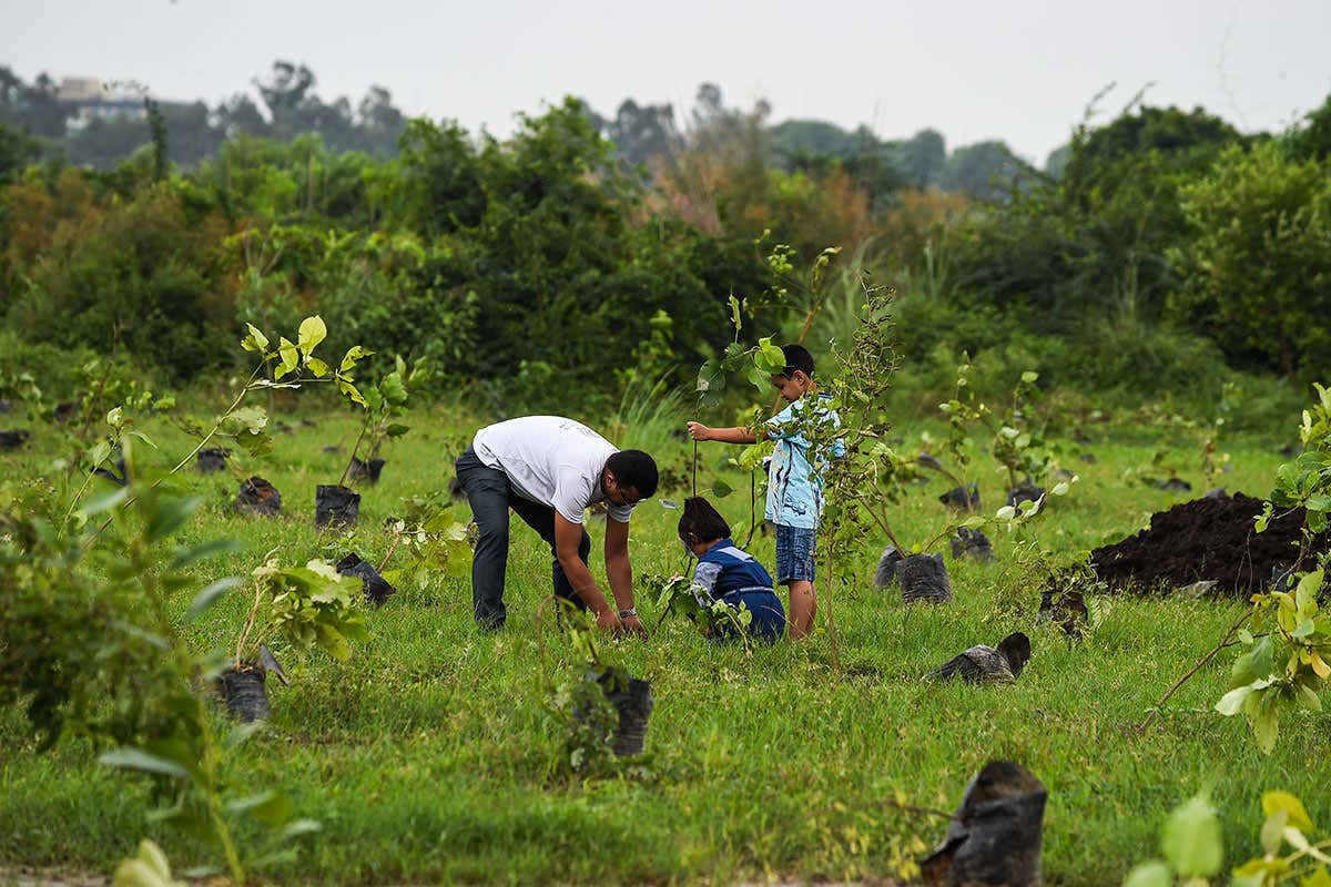 An Indian man helps his children to plant saplings as they take part in a tree planting campaign in New Delhi