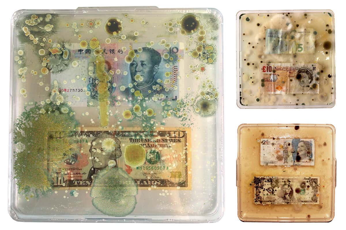 Contaminated banknote images reveal how money gets caked in bacteria