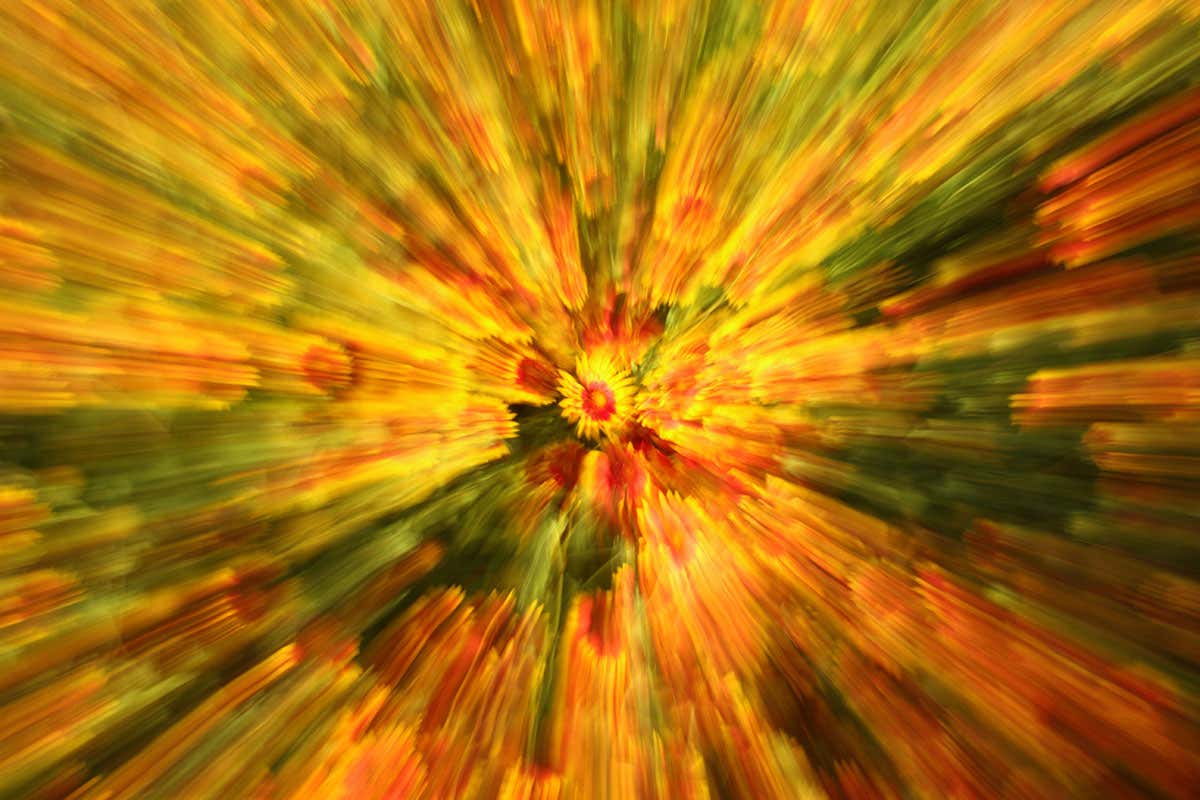 What it’s like to trip on psilocybin for a scientific research study