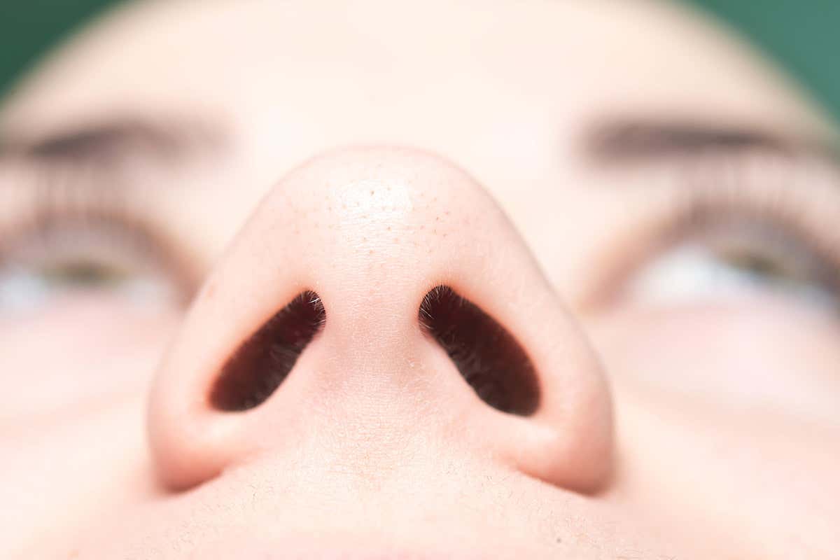 Close up of woman nose