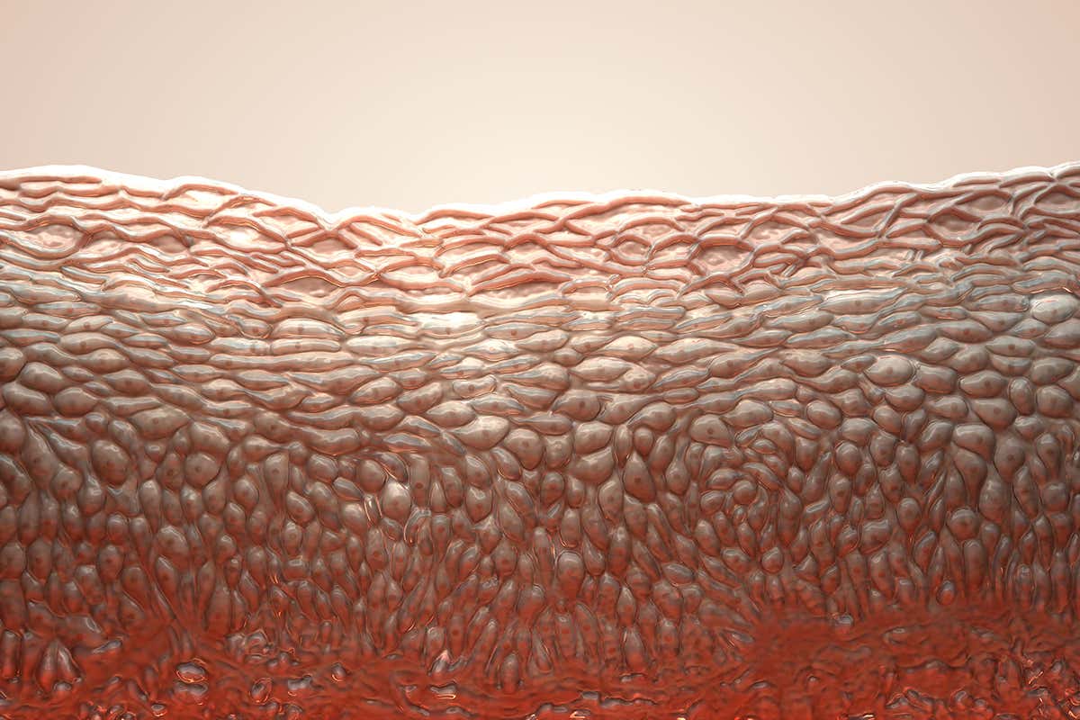 Electrified artificial skin can feel exactly where it is touched