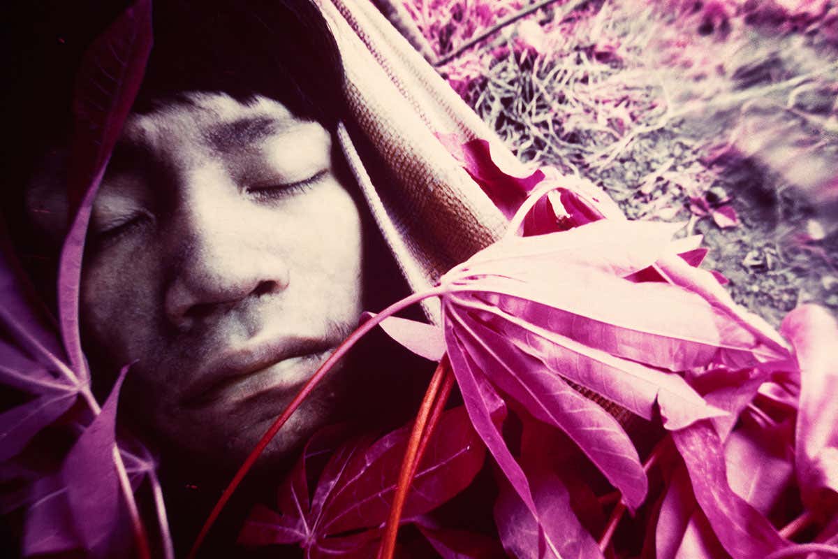 New Scientist. Science news and long reads from expert journalists, covering developments in science, technology, health and the environment on the website and the magazine.