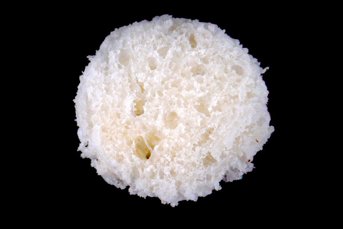 New Scientist. Science news and long reads from expert journalists, covering developments in science, technology, health and the environment on the website and the magazine.