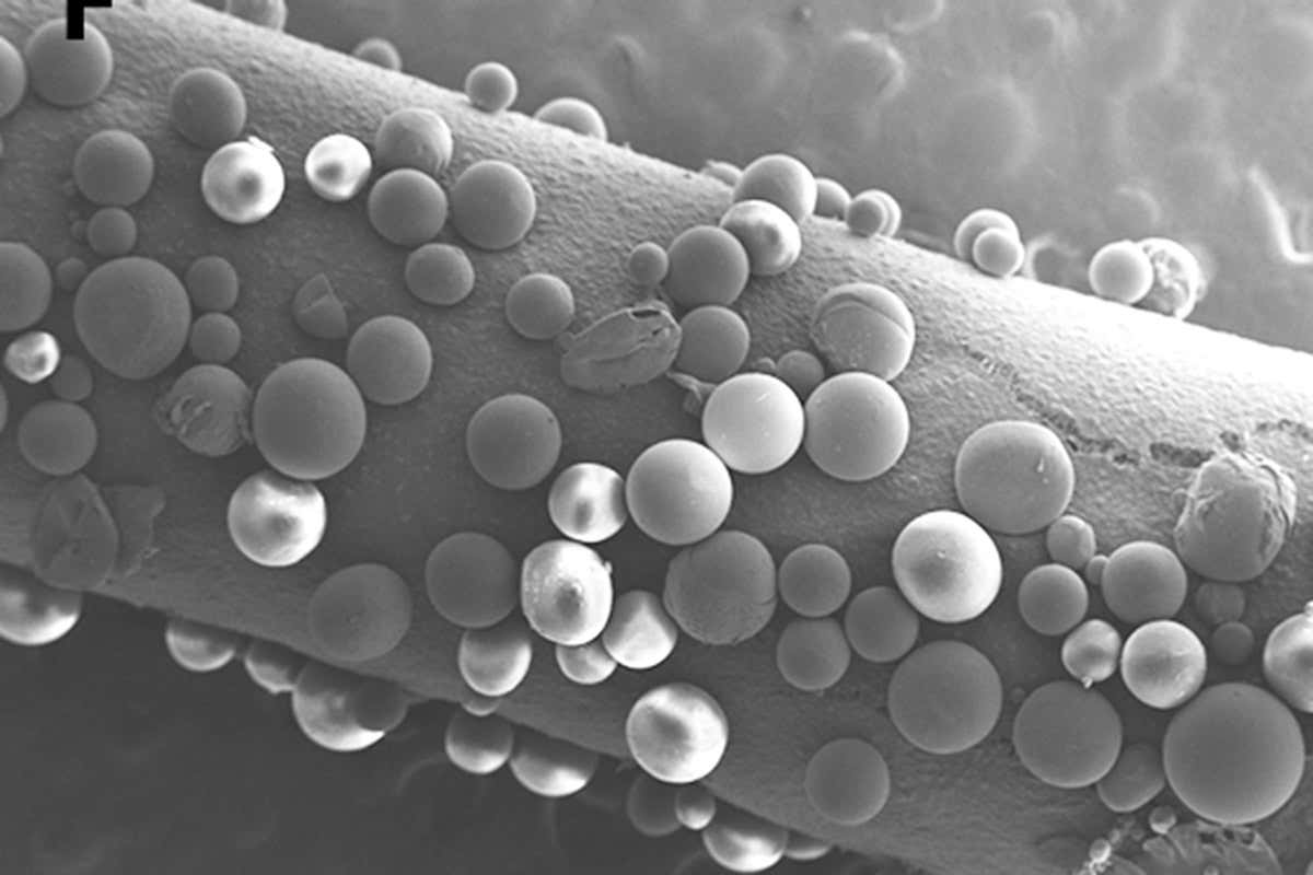 New Scientist. Science news and long reads from expert journalists, covering developments in science, technology, health and the environment on the website and the magazine.