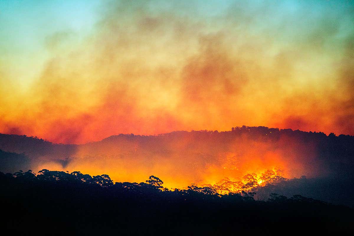 New Scientist. Science news and long reads from expert journalists, covering developments in science, technology, health and the environment on the website and the magazine.