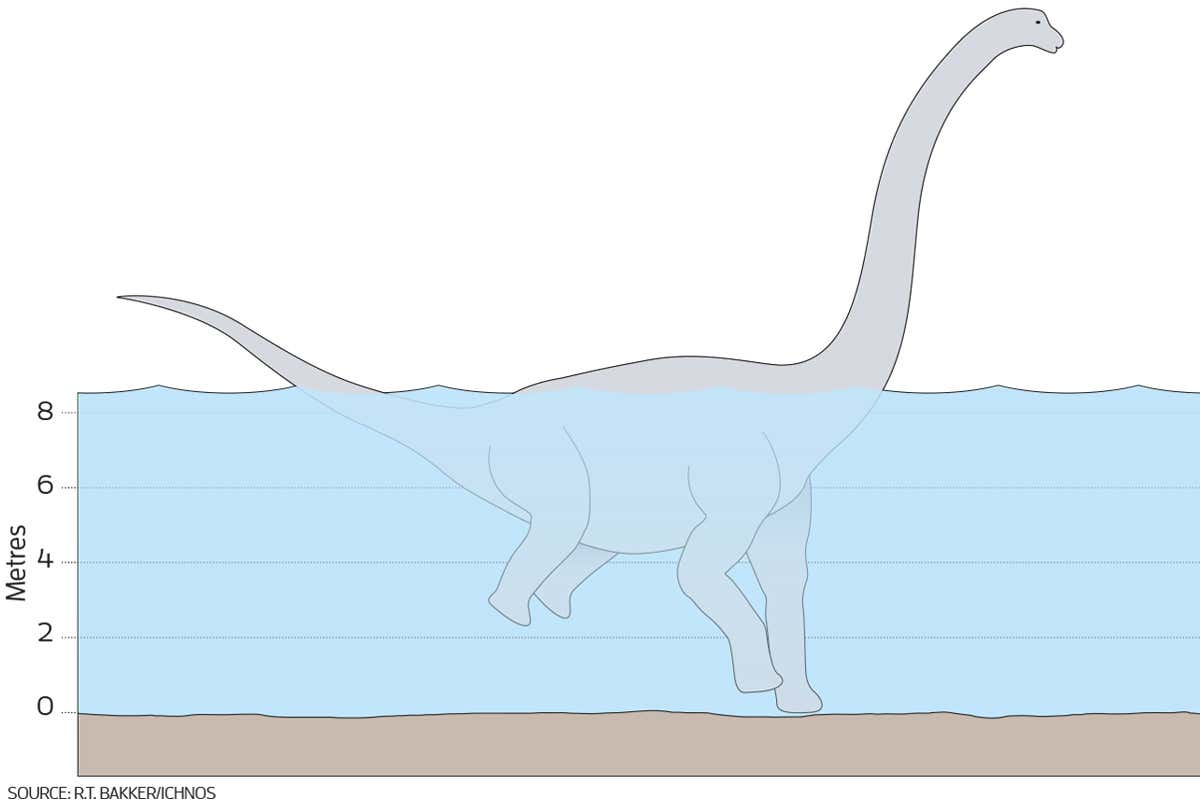 Dinosaur tracks seem to show giant sauropods wading on two front legs