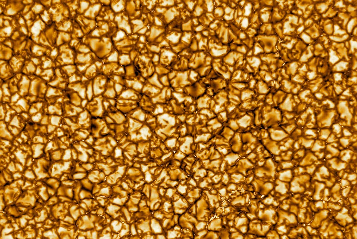 New Scientist. Science news and long reads from expert journalists, covering developments in science, technology, health and the environment on the website and the magazine.